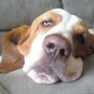 Meet your Posher, Dana